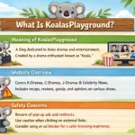 What Is KoalasPlayground? Meaning Website Overview and Safety Concerns